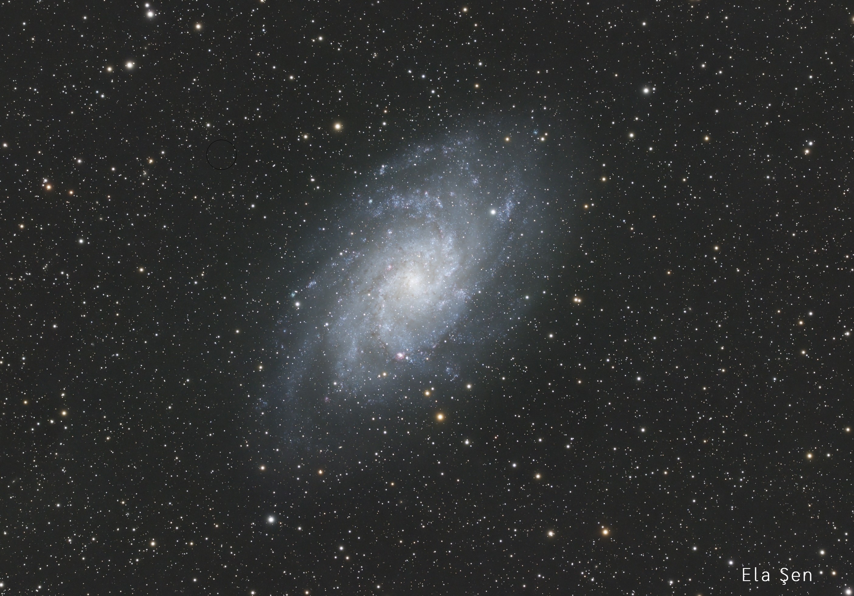 M33