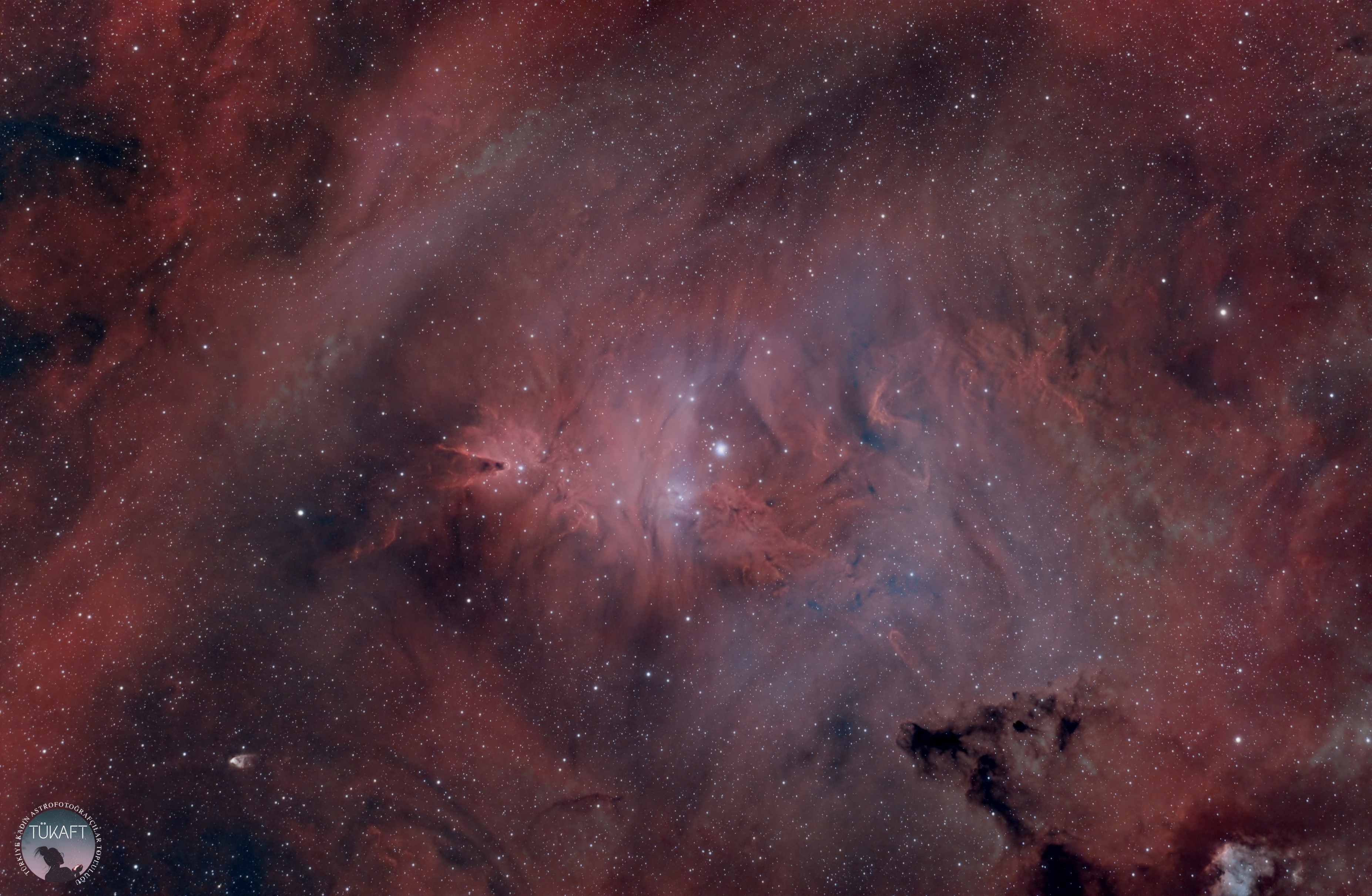 NGC2264